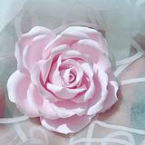 6tag 041015 125449 [1]